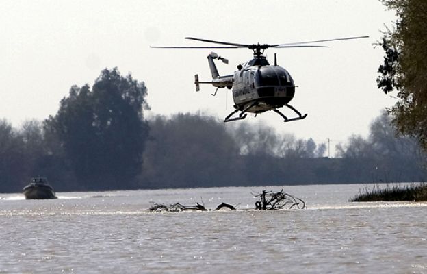  - Búsqueda sin descanso