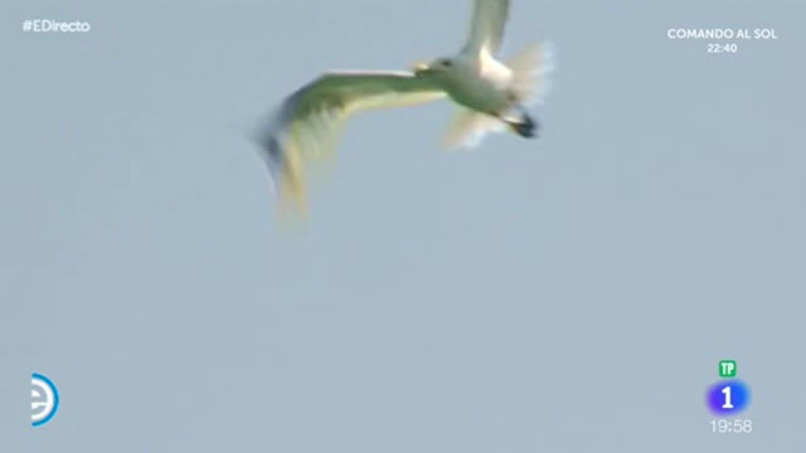 España Directo - El Campello y su torre de vigía