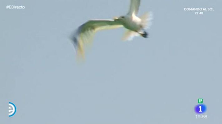 España Directo - El Campello y su torre de vigía