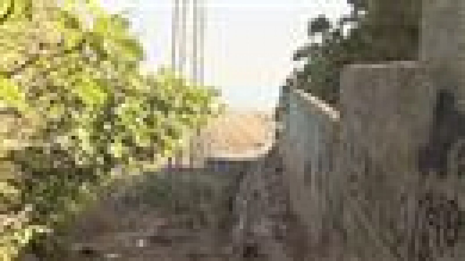 Telecanarias - 11/08/2017