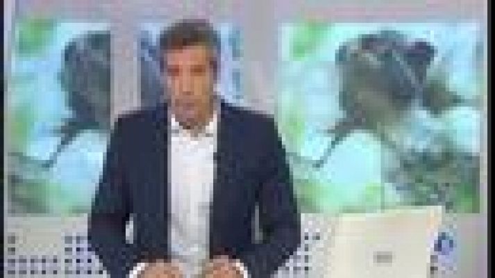 L'Informatiu - Prohibir el comerç de primats a Espanya, l'objectiu de la Fundació Darwin pel proper curs polític