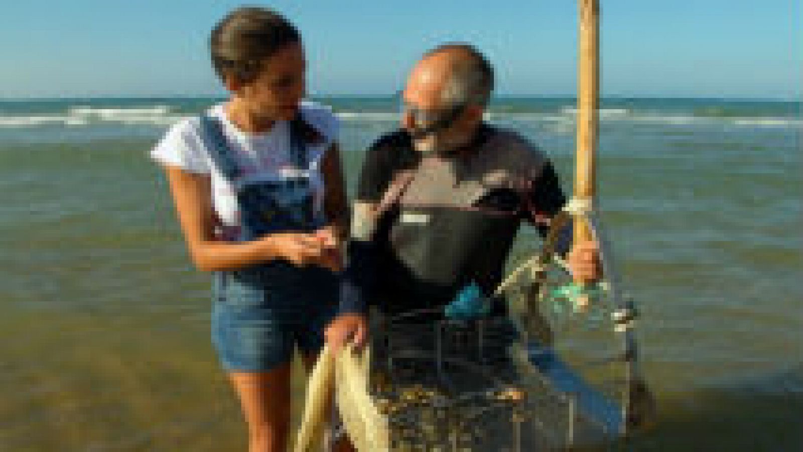 El buscador de coquinas