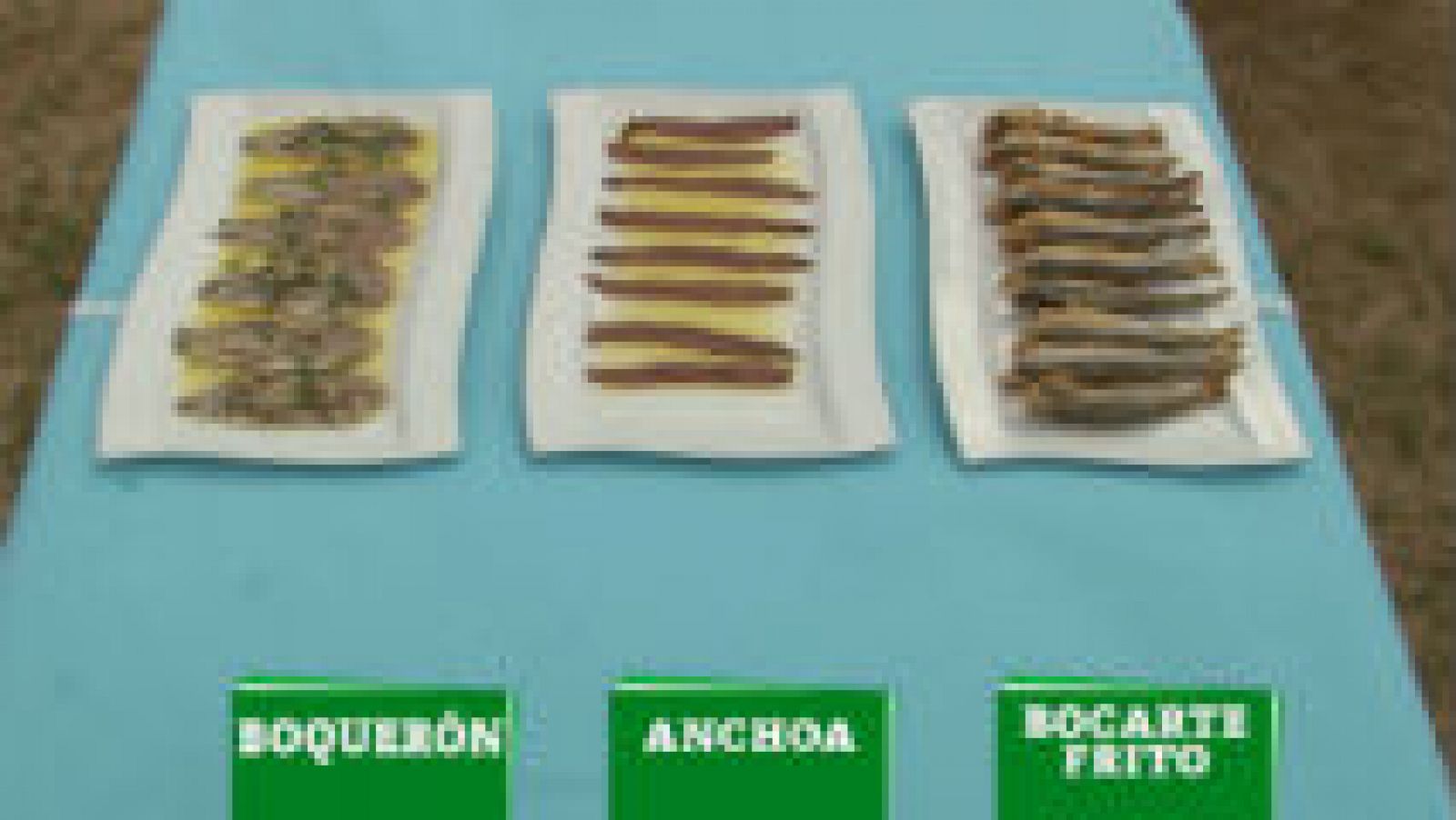 Diferencia entre bocarte, anchoa o boquerón