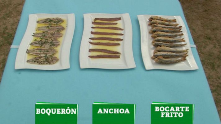 Aquí la Tierra - ¿Bocarte, anchoa o boquerón?