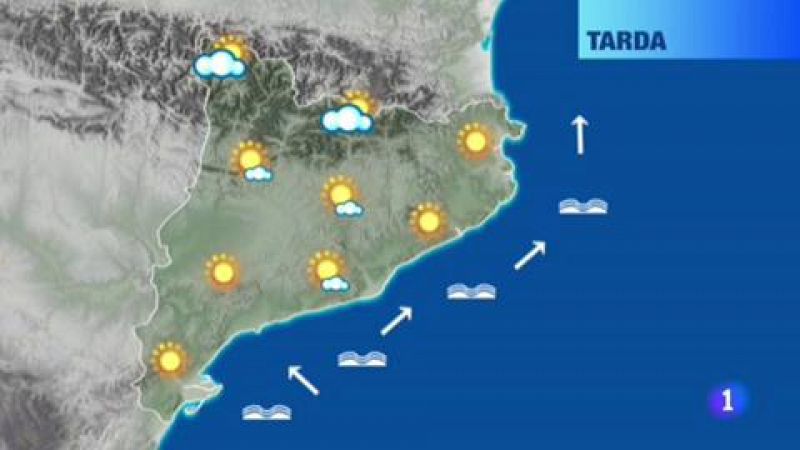 El temps - 14/08/2017