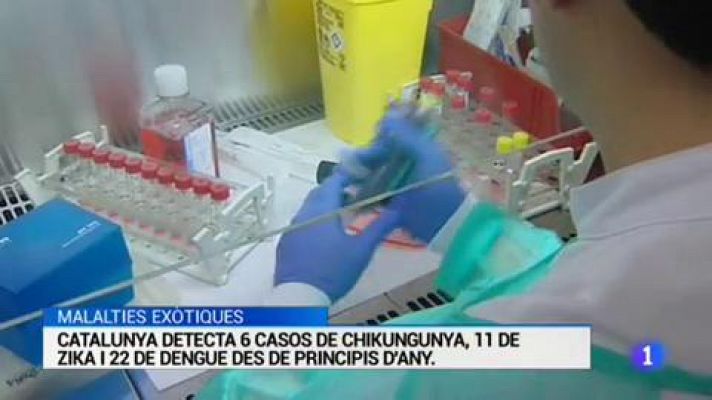 L'Informatiu - L'Informatiu - 14/08/2017