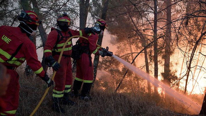 Informativo 24h - Más de un millar de bomberos trabajan contra dos grandes incendios en el centro de Portugal