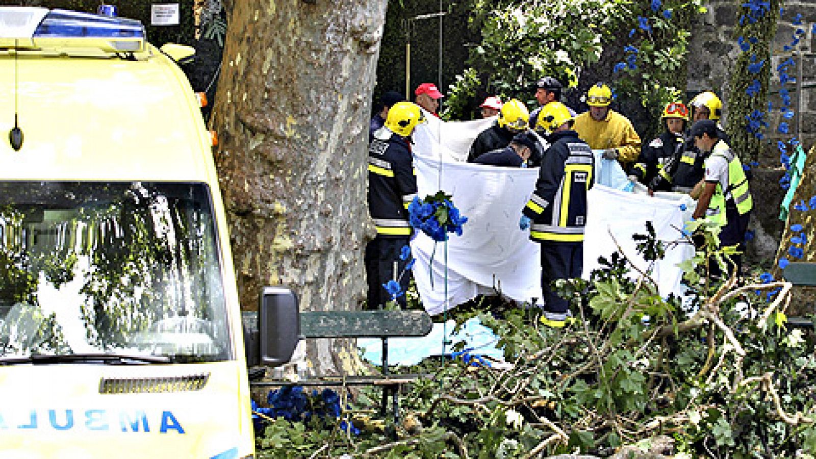 Sin programa: Tragedia durante una romería en Madeira | RTVE Play