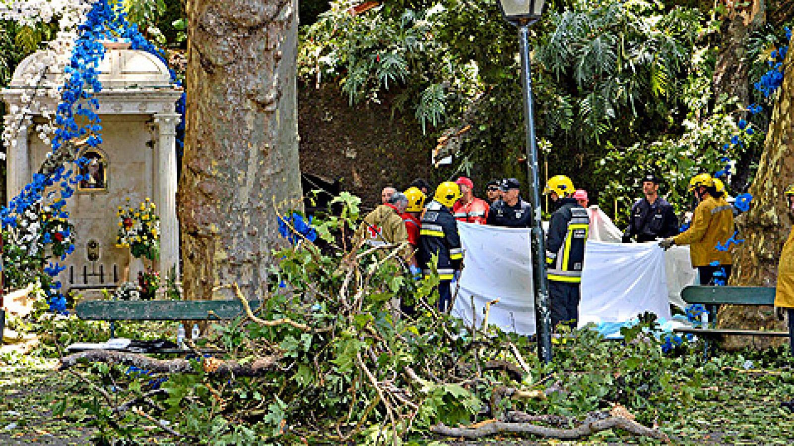 Telediario 1: Al menos 13 muertos en Madeira al caer un árbol en plena romería | RTVE Play