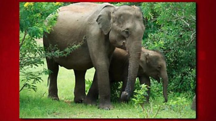 Saber y ganar - Saber y ganar - 16/08/17