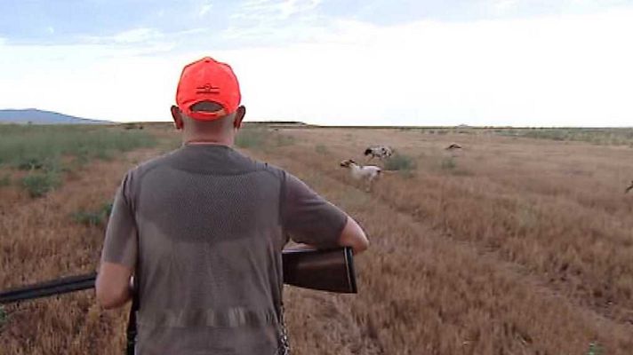 España en 24h - España en 24 horas - 16/08/17