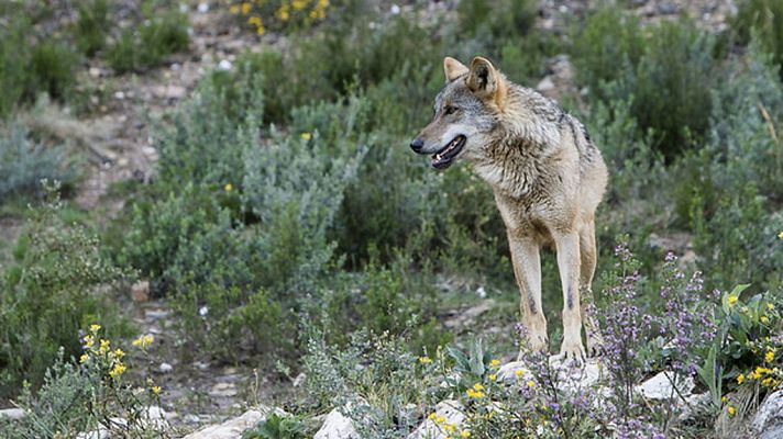 Informativo de Madrid - La Comunidad de Madrid en 4' - 17/08/2017