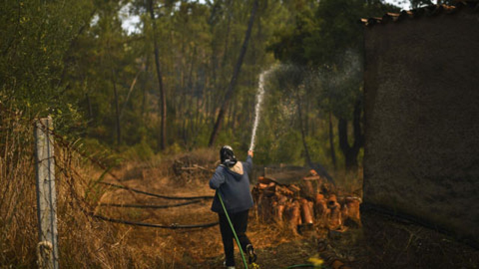 Telediario 1: Más de 130 personas evacuadas por uno de los incendios en la región portuguesa de Maçao | RTVE Play