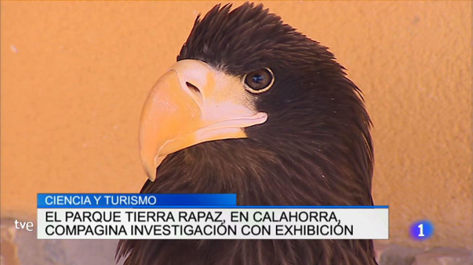 Informativo Telerioja - 17/08/17