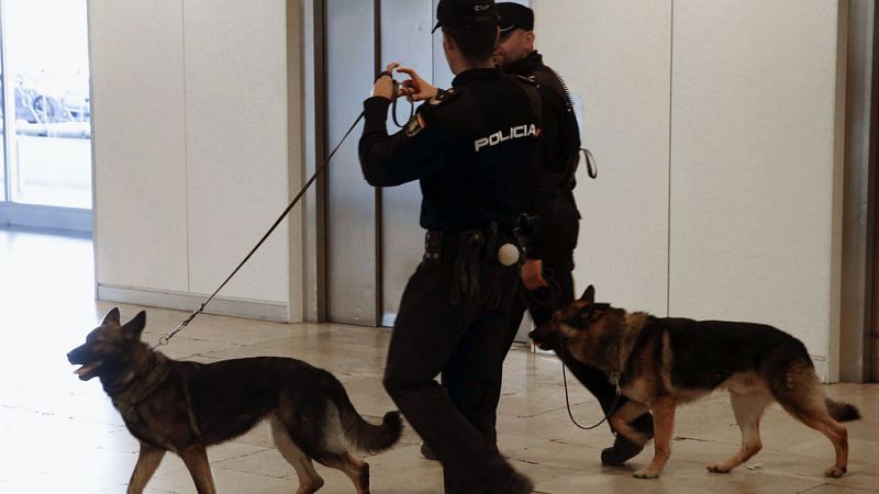 La alerta terrorista se mantiene desde junio de 2015. Se trata del nivel cuatro sobre cinco, un riesgo alto, y el más elevado de los últimos doce años. El nivel cuatro contempla un incremento en toda España de la vigilancia policial. Se refuerza la s