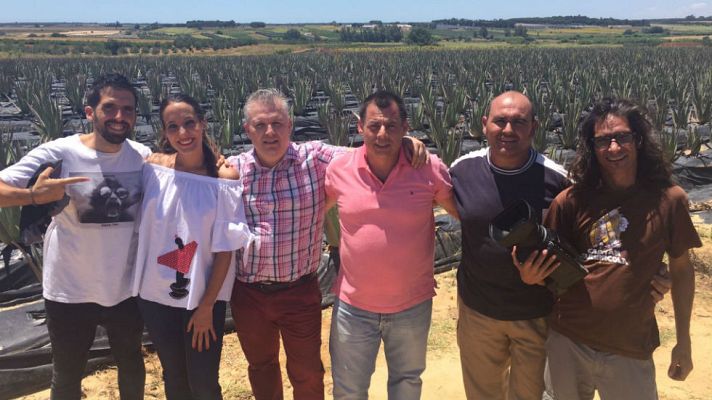 Aquí la Tierra - Aloe para curar ¡y para cocinar!