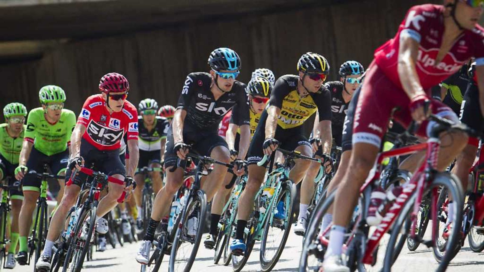 L'Informatiu - Comunitat Valenciana 2 - 24/08/17 - ver ahora