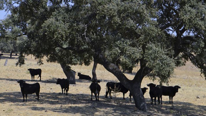 Informativo de Madrid - El Tiempo en la Comunidad de Madrid - 25/08/17