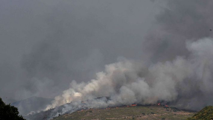 Telediario 1 - El incendio en la Sierra de la Cabrera está ya estabilizado
