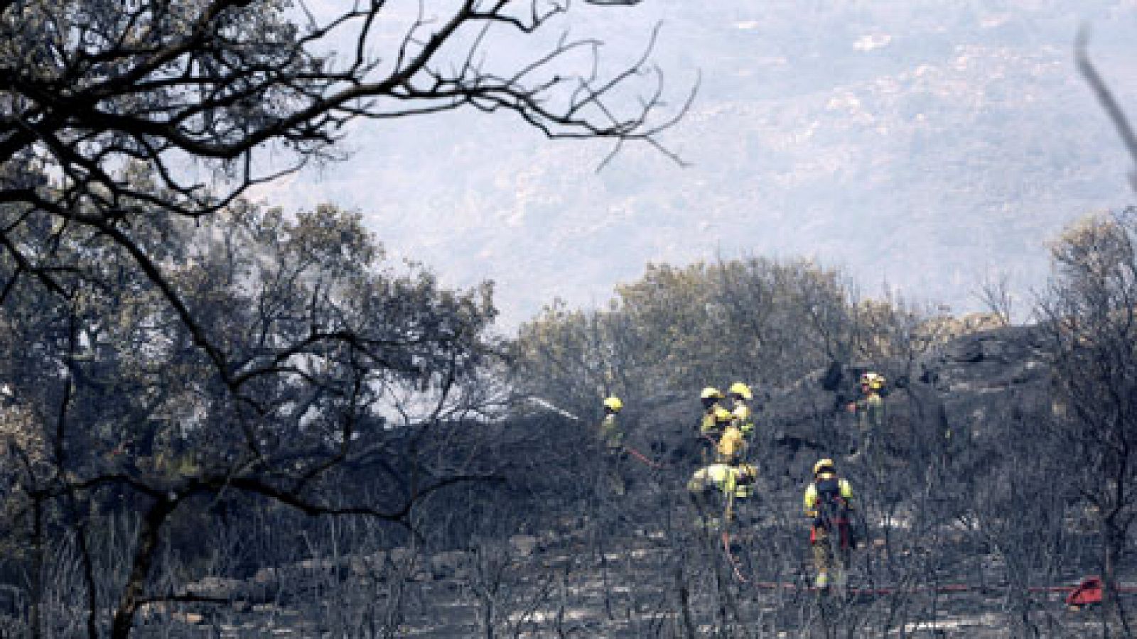 Telediario 1: Dos frentes continúan abiertos en Fermoselle (Zamora) y otros tres incendios se dan por controlados en Ávila y León | RTVE Play