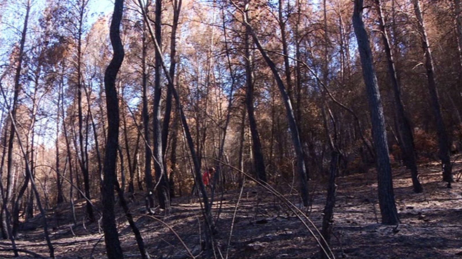 Tras un incendio extinguido, ¿qué puede ocurrir?