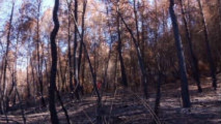 Aquí la Tierra - Tras un incendio extinguido, ¿qué puede ocurrir?