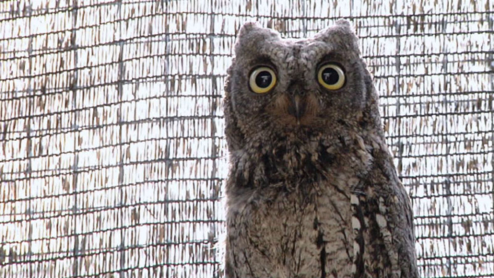 Al servicio de la biodiversidad