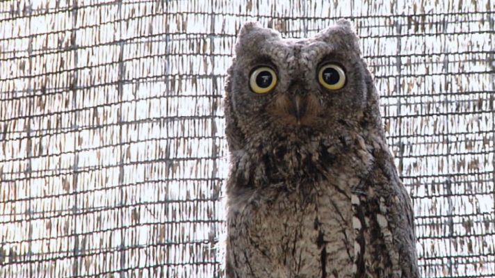 Aquí la Tierra - Al servicio de la biodiversidad