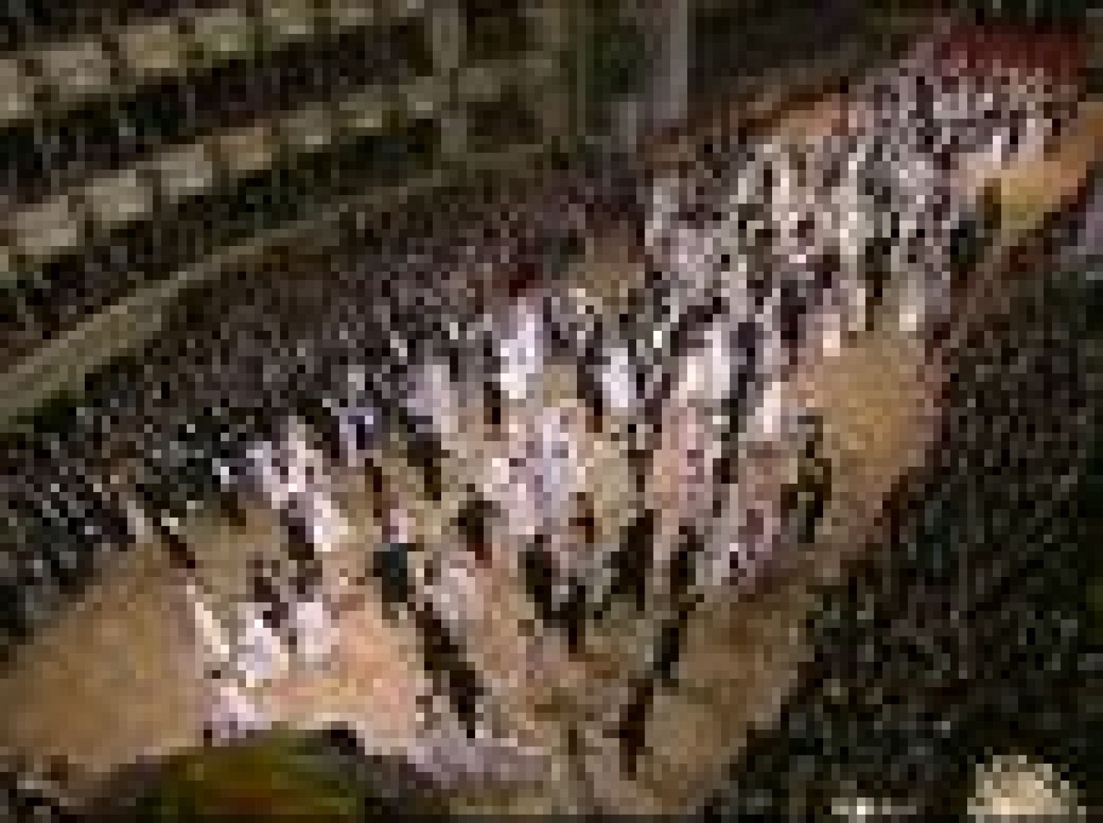 La Crisis No Llega Al Baile De La ópera De Viena Rtve Es