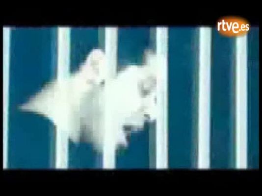 Eurovisión - Encuentro con Roel