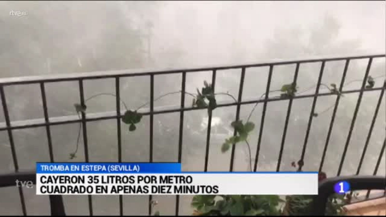 Sin programa: Inundaciones Estepa  | RTVE Play