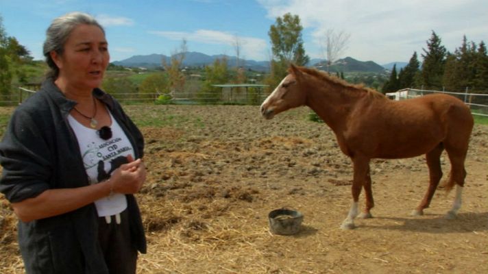 Aquí la Tierra - Concordia, la mujer que susurra a los caballos