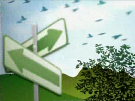 Actívate. El reto del bienestar - Actívate - El reto del bienestar - 20/02/09