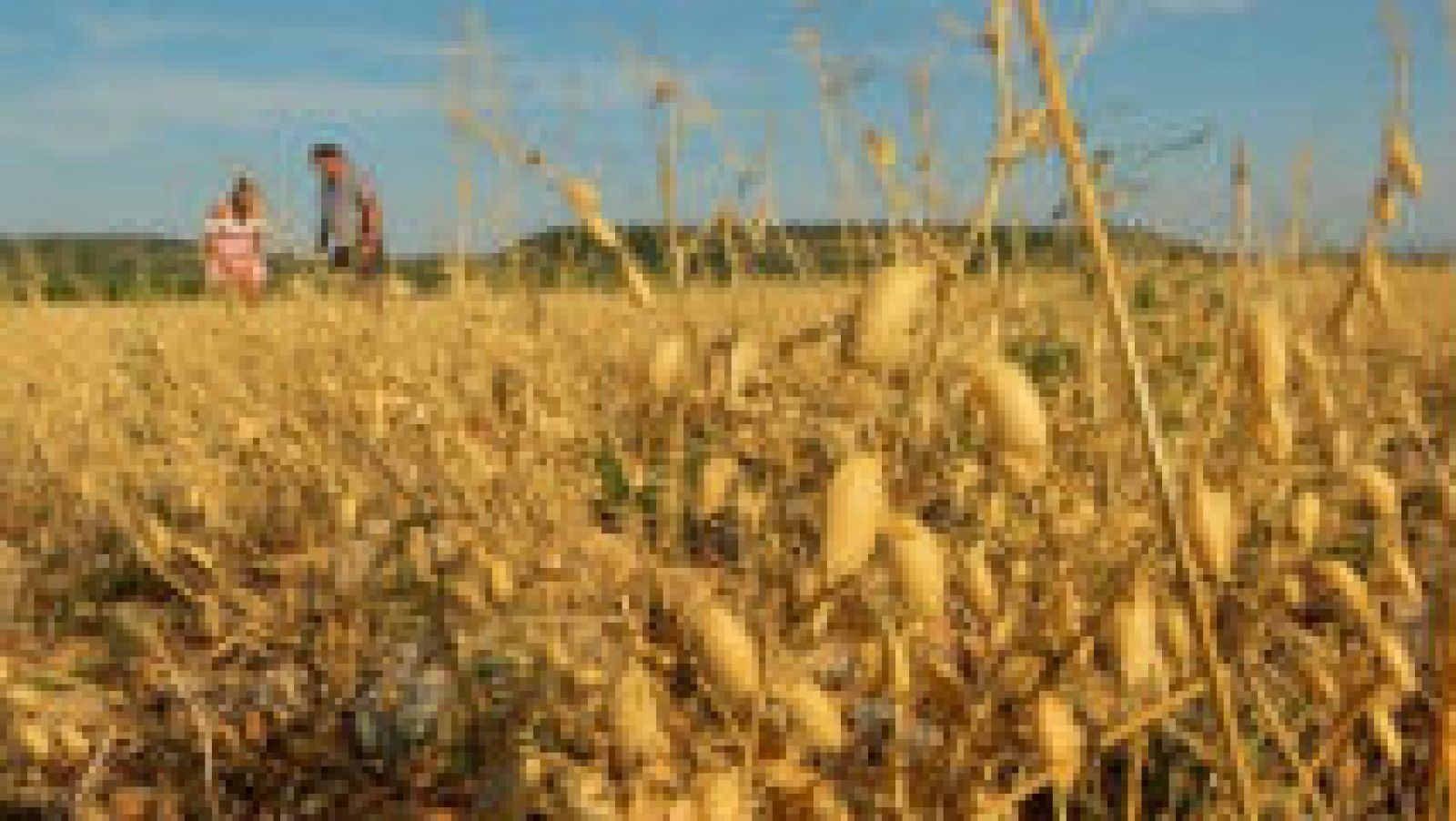 Huesca, tierra de garbanzos