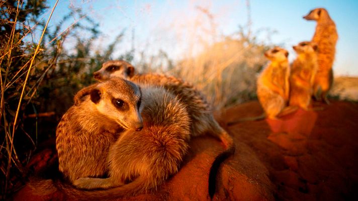 24 horas en el planeta Tierra. Episodio 1