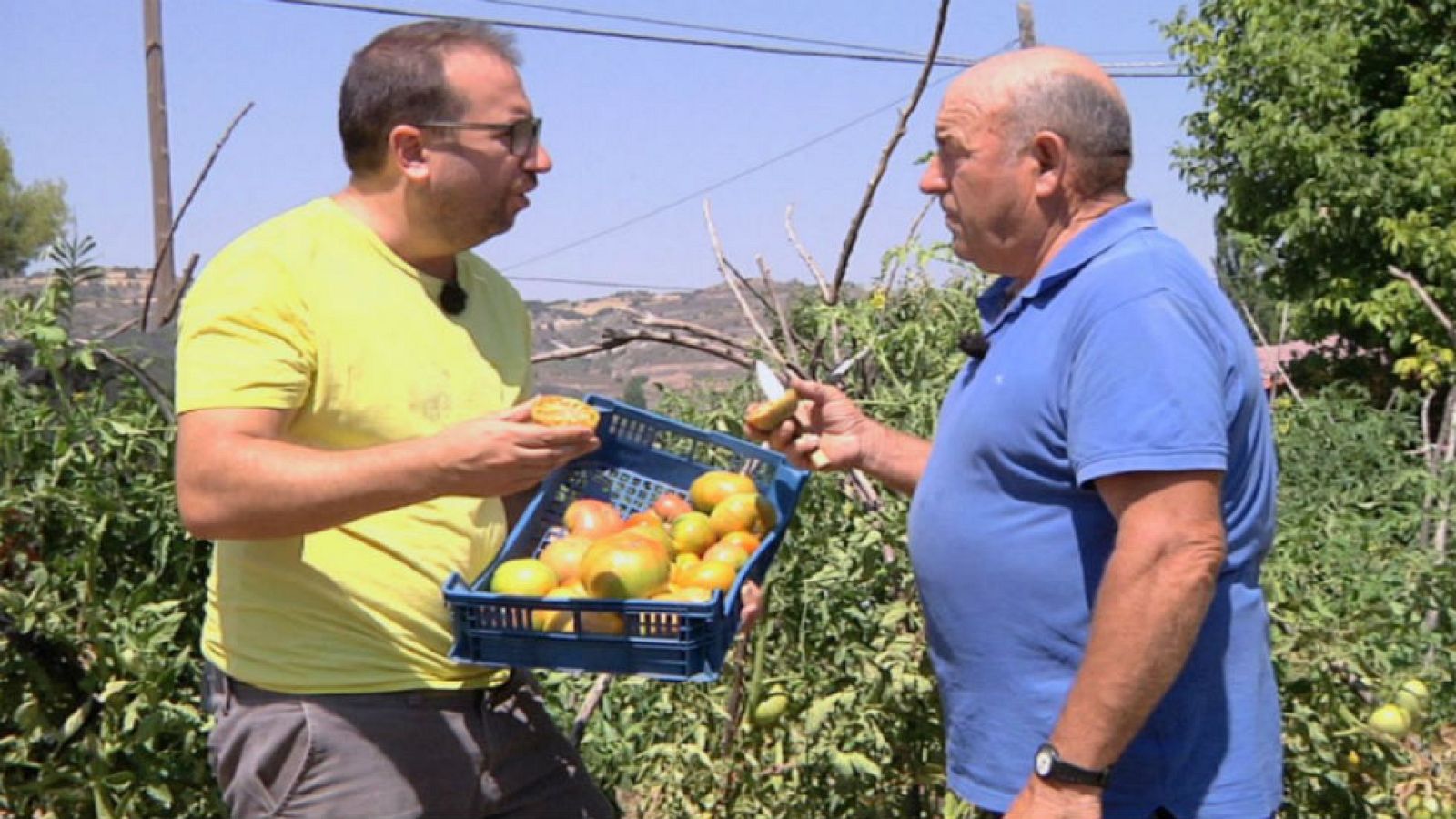El trovador del campo