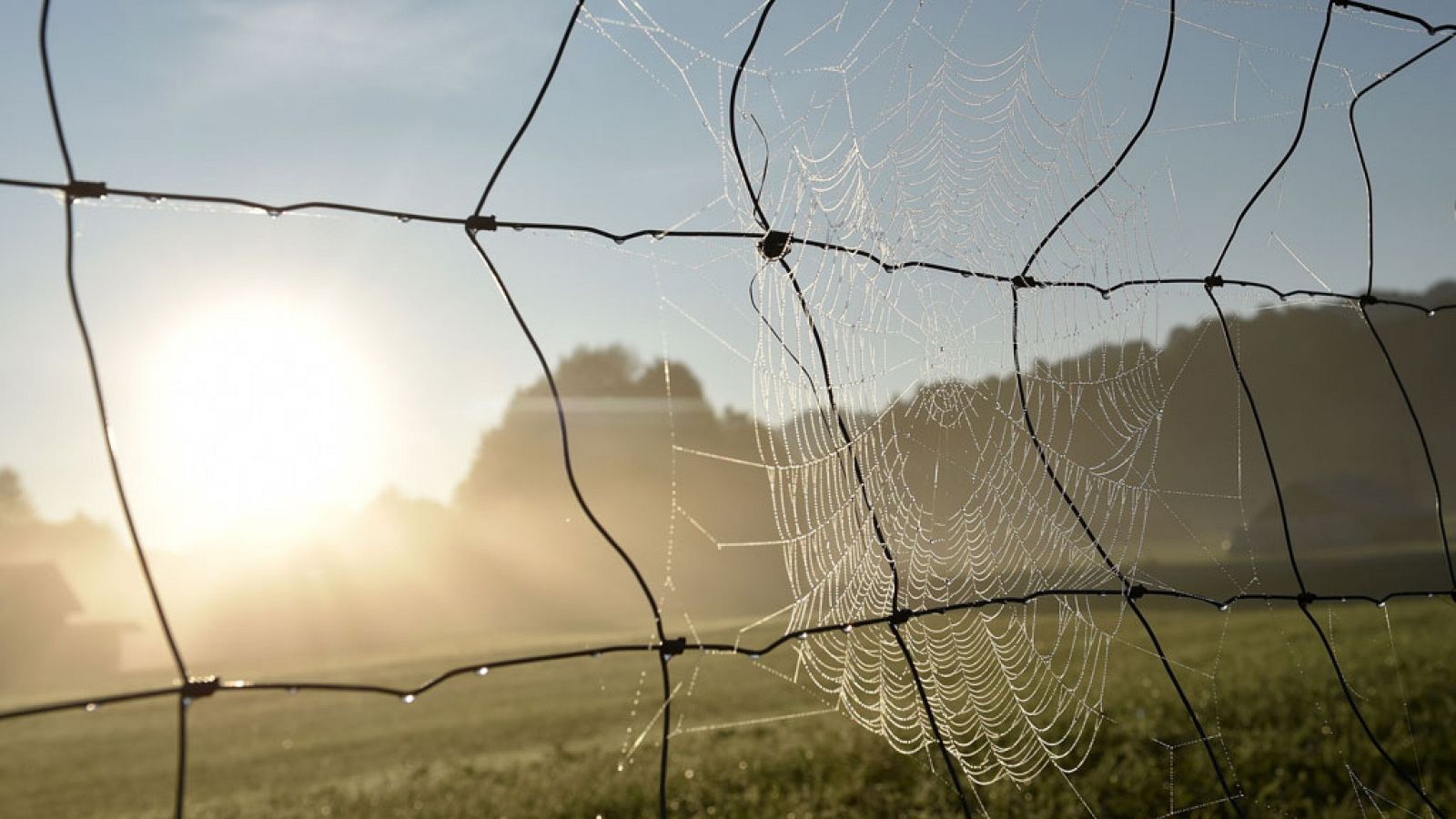 Informativo de Madrid: El Tiempo en la Comunidad de Madrid - 05/09/17 | RTVE Play
