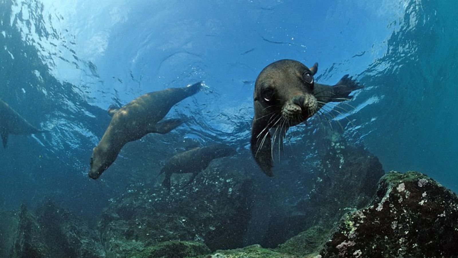 Grandes documentales - 24 horas en el planeta Tierra. Episodio 2 - ver ahora