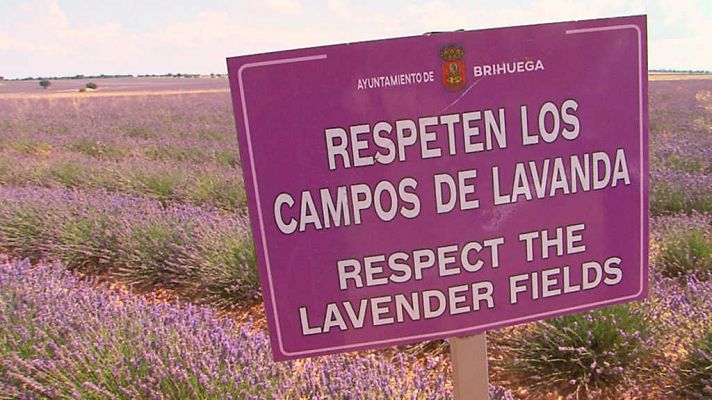 Comando Actualidad - Alargando el veraneo