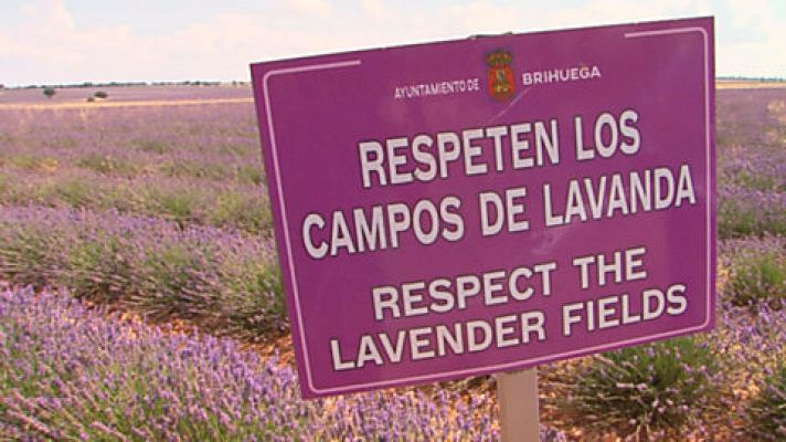 Comando Actualidad - Alargando el veraneo