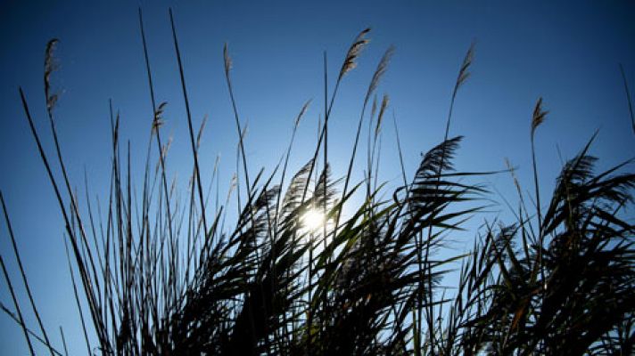 Informativo de Madrid - El Tiempo en la Comunidad de Madrid - 07/09/17