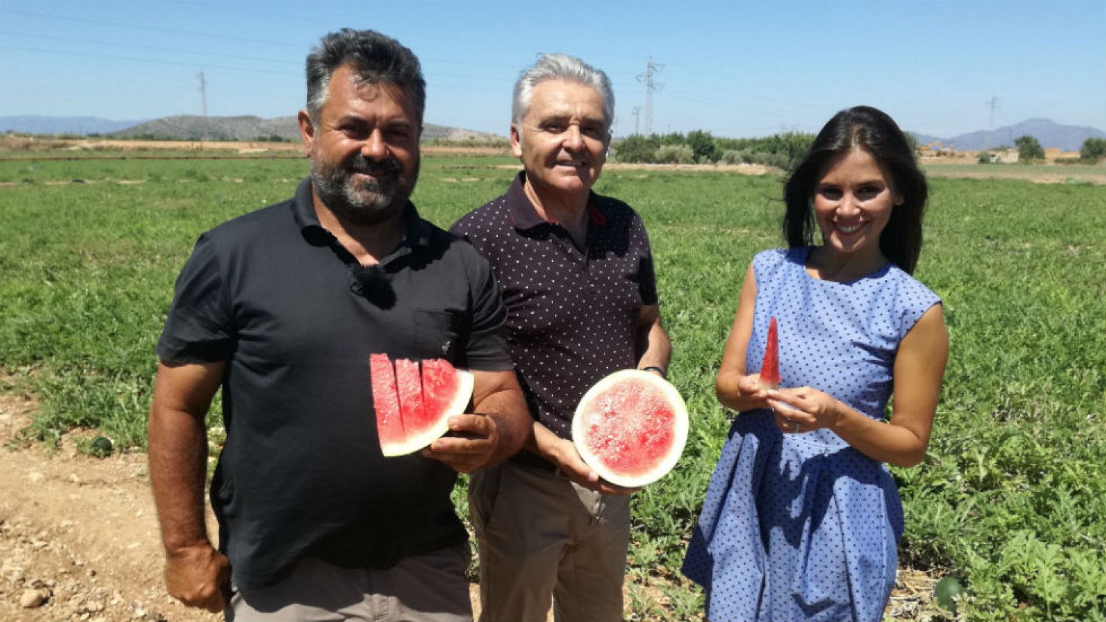 ¿Cómo se consiguen las sandías sin pepitas?