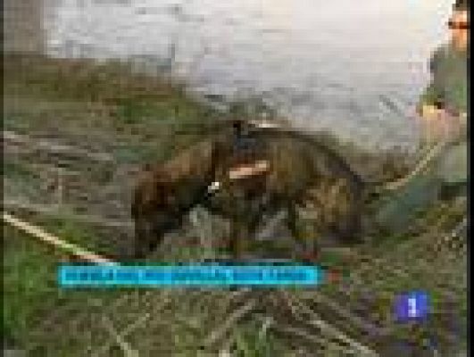  - Continúa la búsqueda de Marta