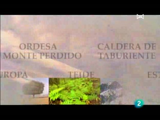 Espacios naturales - Tablas de Daimiel