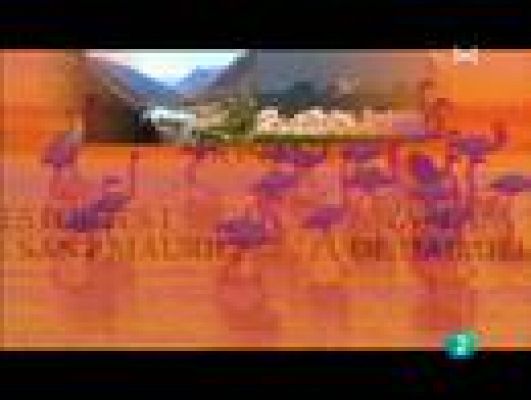 Espacios naturales - Tablas de Daimiel