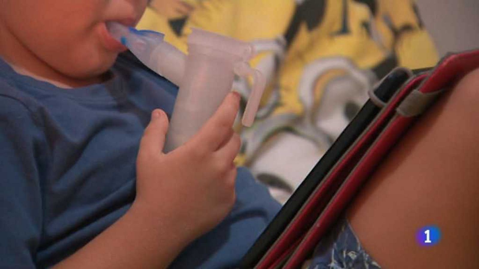 L'Informatiu - Comunitat Valenciana 2 - 08/09/17 - ver ahora