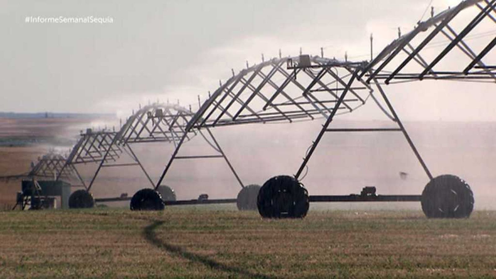 Informe semanal - El ojo de la sequía - ver ahora