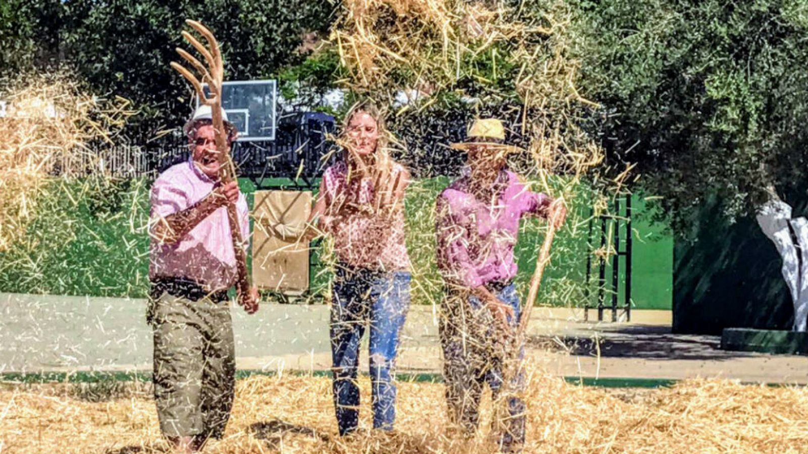 Así trillaba, así así...