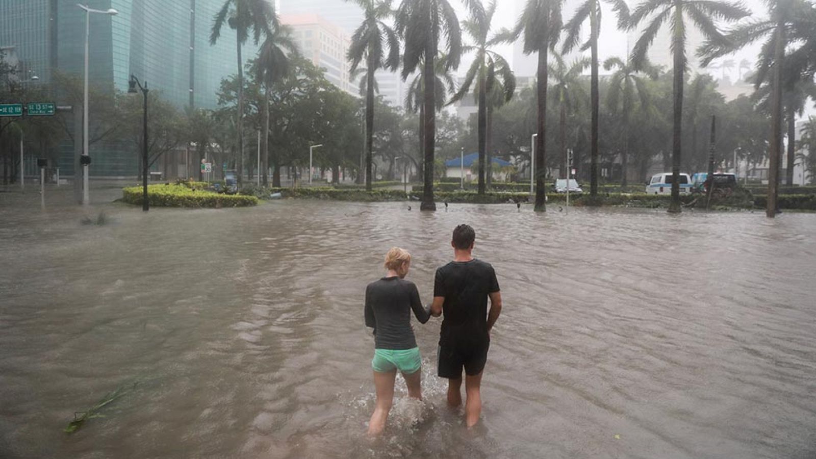 Telediario 1: Irma deja sin electricidad a 4 millones de hogares y negocios en Florida e inunda el centro financiero de Miami  | RTVE Play