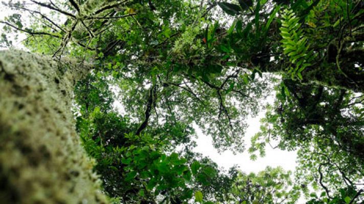 El tiempo - Lluvias en el Cantábrico, Navarra, Galicia, Cataluña y Baleares